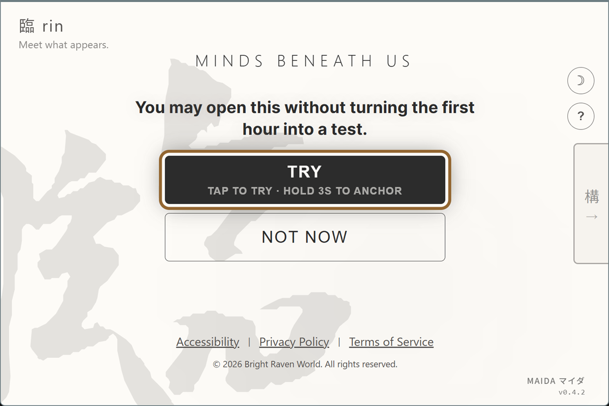 Maida Rin view: one game with TRY and NOT NOW (light theme)